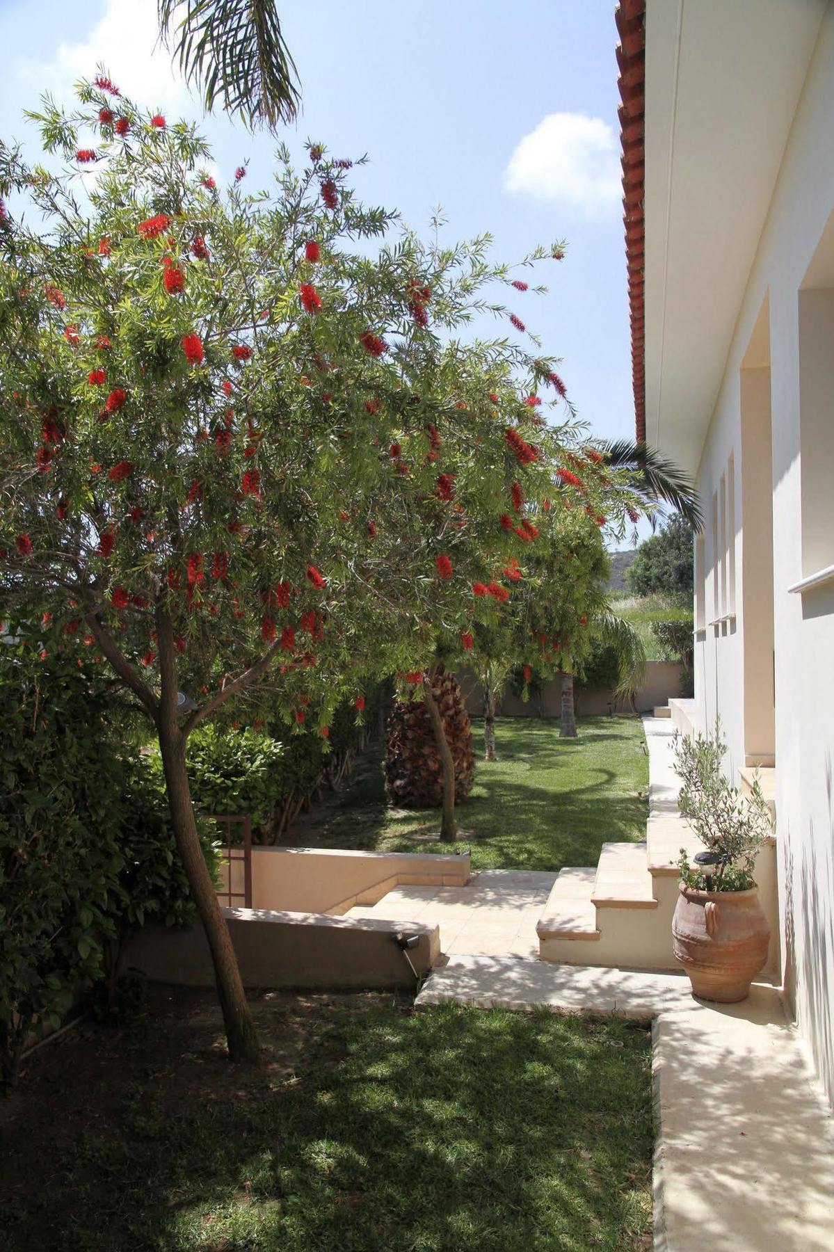 Eve Pissouri Xιnisteri Villa Exterior photo